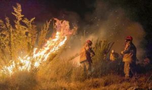 Ceará aparece entre os estados mais afetados por incêndios
