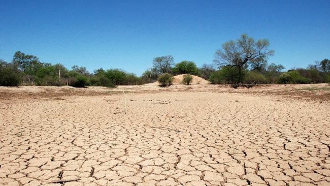 Ceará tem 88,7% do território em algum grau de seca, aponta Monitor