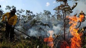 PF lança operação nacional contra queimadas na Amazônia e no Pantanal