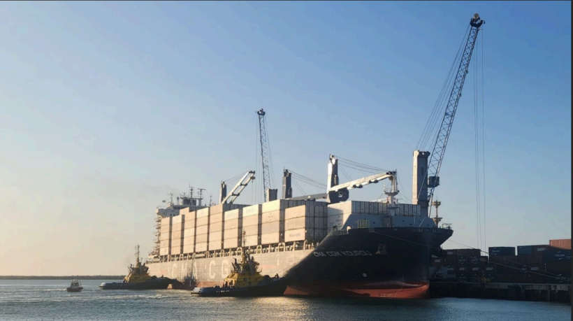 Demanda europeia aquece temporada de exportações de frutas no Porto de Fortaleza