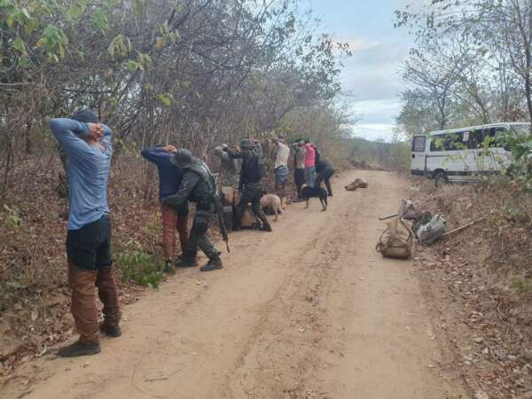 Caça ilegal: oito pessoas são presas e animais são resgatados em Lavras da Mangabeira
