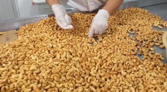 Fiec e Faec propõem redirecionar produção ao mercado interno diante de crise