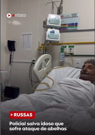 No Ceará, idoso foi salvo de ataque de abelhas após a intervenção de um policial militar. O Caso aconteceu no distrito de Flores, em Russas - (Foto: Reprodução)
