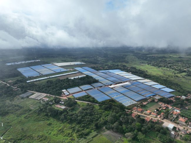 Evento reúne produtores e especialistas para impulsionar o agronegócio na Ibiapaba
