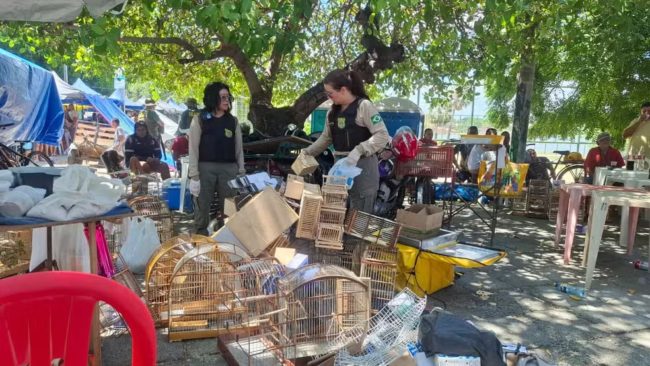 Feira da Parangaba: Ibama prende suspeitos e aplica R$ 465 mil em multas