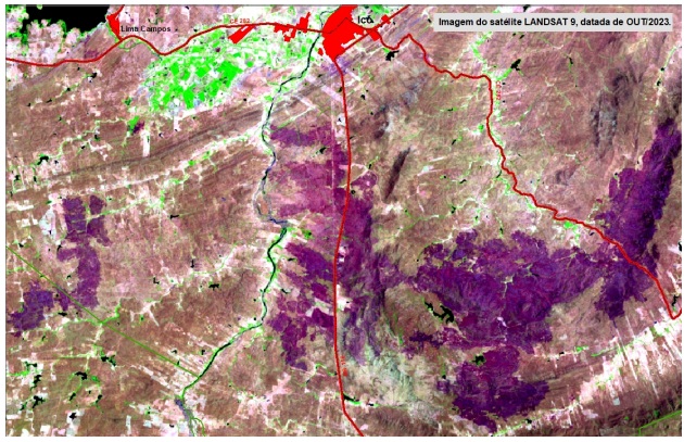Queimadas deixam mais de 1.300 km² marcados no Ceará em 2024