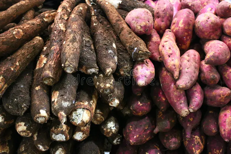 Produção de grãos no Ceará recua 6,92% em setembro