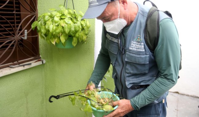 Casos de dengue caem 90% em Fortaleza e mortes são zeradas em 2025
