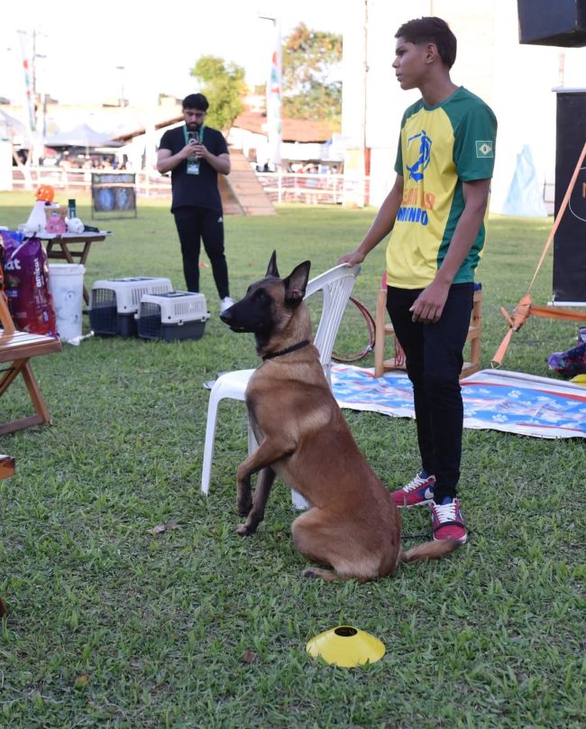 Negócios somam R$ 20 milhões e impulsionam recorde da Expoece 2025