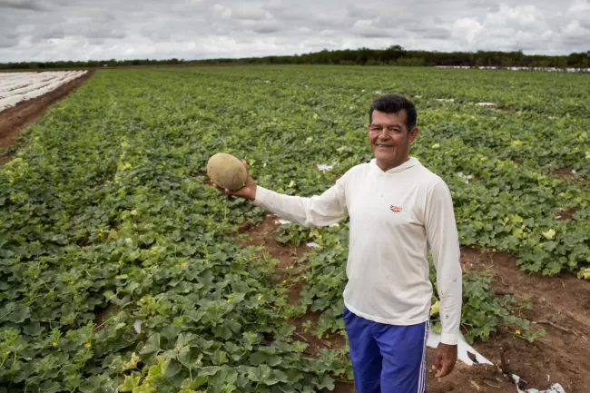 Projeto prevê série de ações para valorizar trabalhador rural - Foto: Hiane Braun