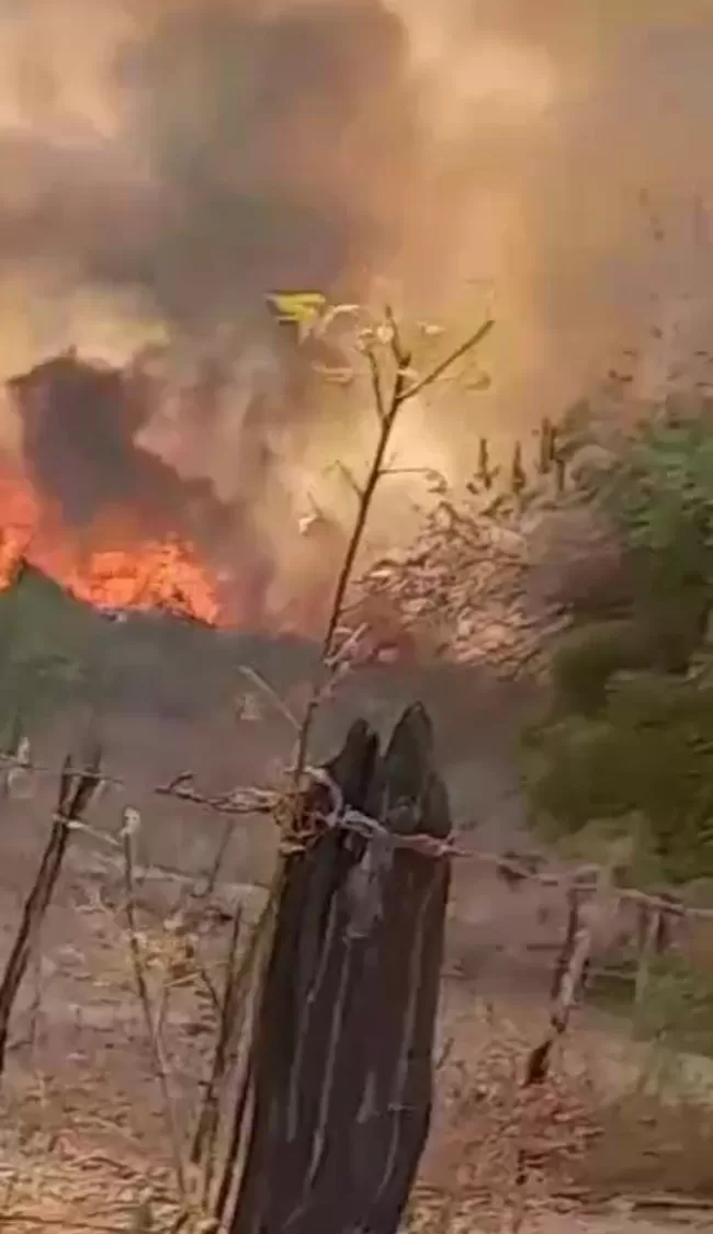 Frequência de incêndios assusta moradores da Zona Rural. Comandante do Corpo de Bombeiros aponta ação humana como principal causa (Foto: Reprodução/WhatsApp)