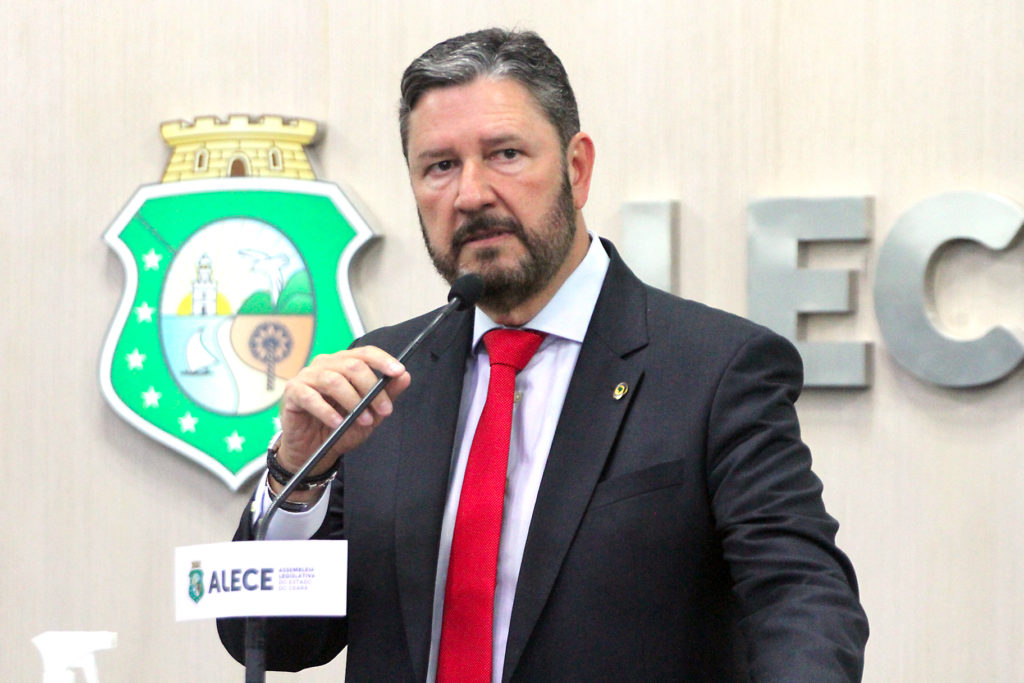 Os petshops que desejarem receber incentivos fiscais e apoios financeiros deverão cumprir alguns requisitos (Foto: Júnior Pio)