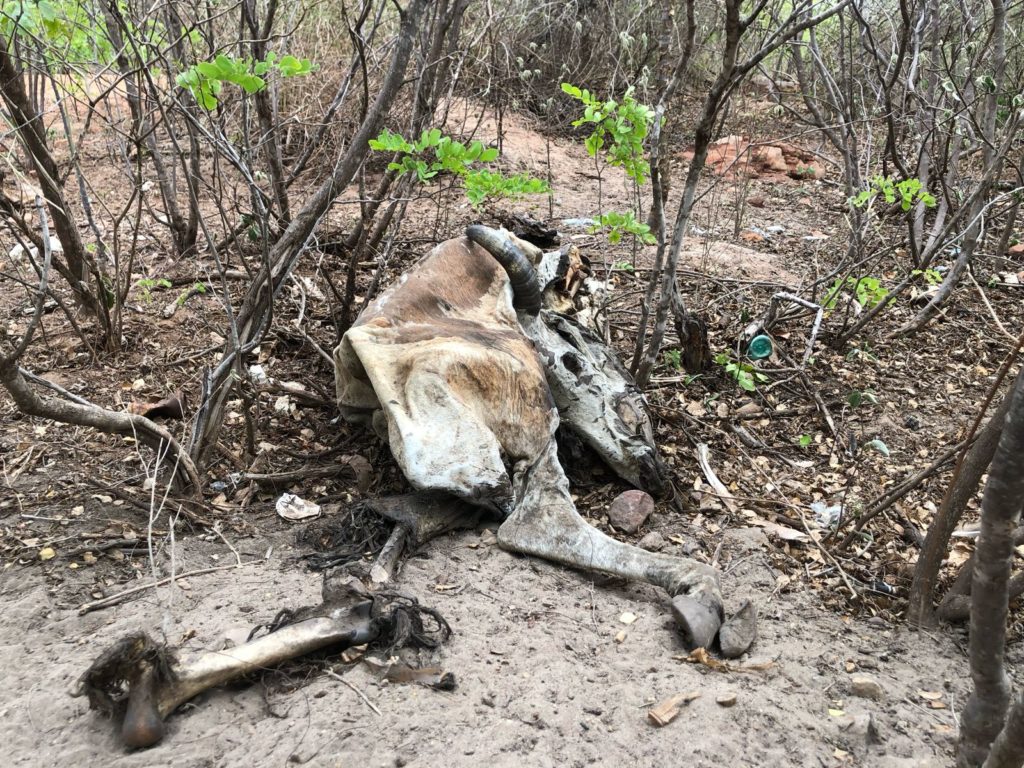 A seca que atinge a população de Ipueiras poderia, segundo moradores, ser amenizada com a construção do Açude Lontras - (Foto: Reprodução/WhatsApp)