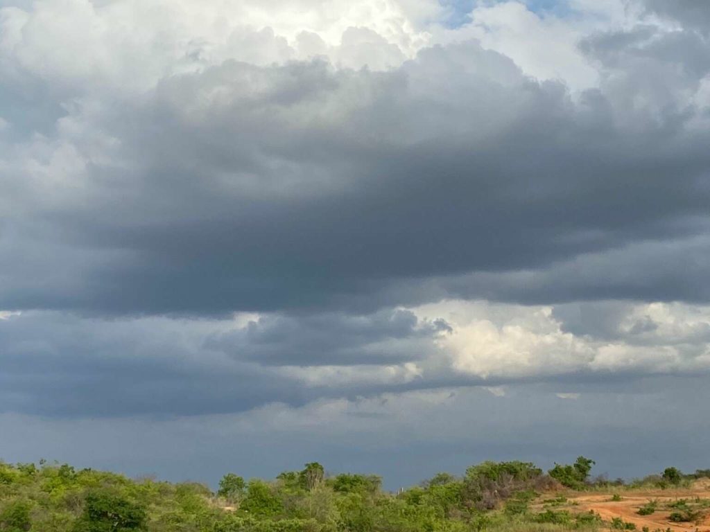 Além de Ararendá, municípios das regiões Centro-Sul e Cariri registraram fortes precipitações nas últimas 24h - (Foto: Marciel Bezerra)