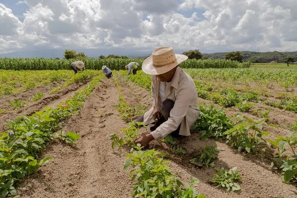 Investimentos para o desenvolvimento rural são anunciados no Dia de São José