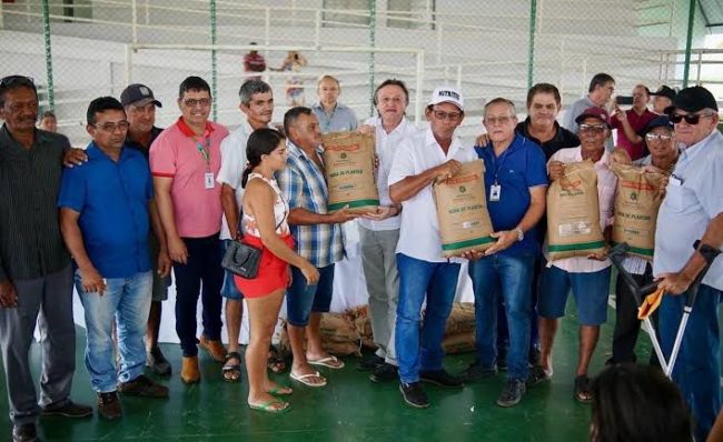 Além de Quixeramobim, agricultores de Iguatu e Potengi devem investir na retomada do cultivo de algodão no Ceará - (Foto: Divulgação)