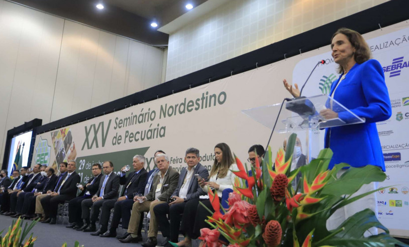 Startups cearenses realizam exposição na PEC Nordeste 2024