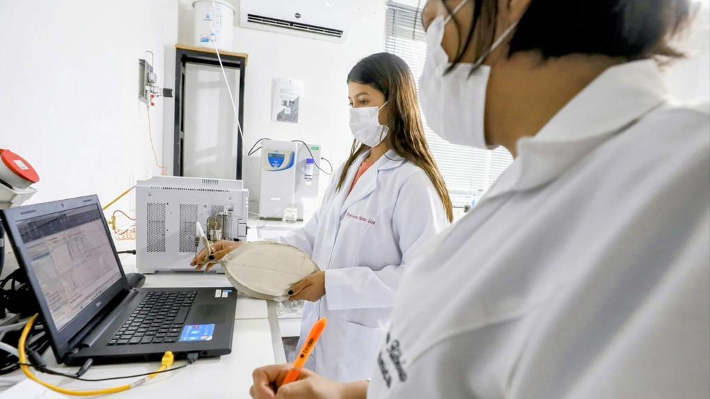 Ceará avança na produção de combustível feito com casca de coco
