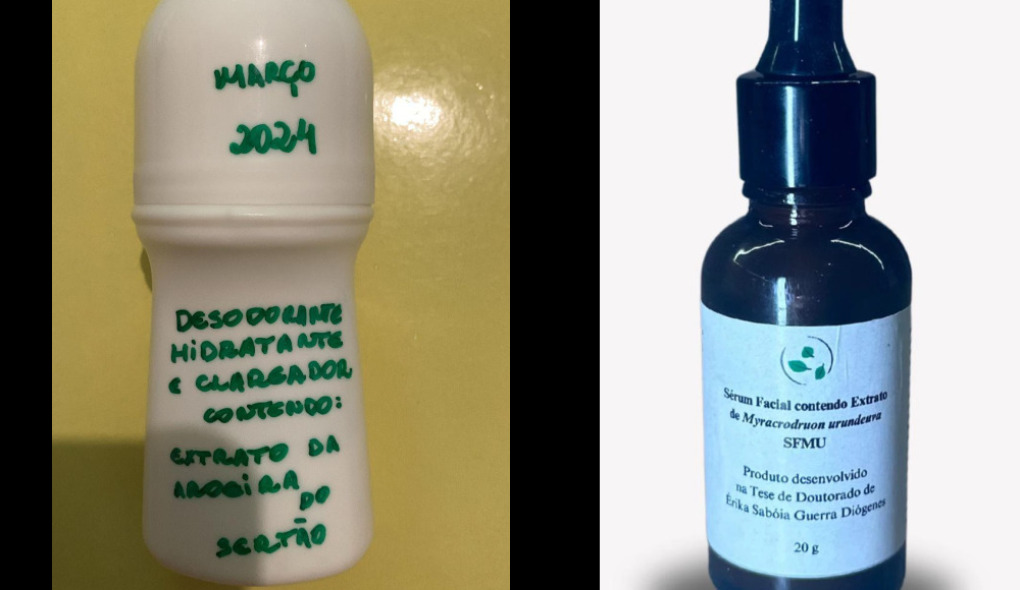 Pesquisadoras cearenses desenvolvem clareador de pele com base em aroeira