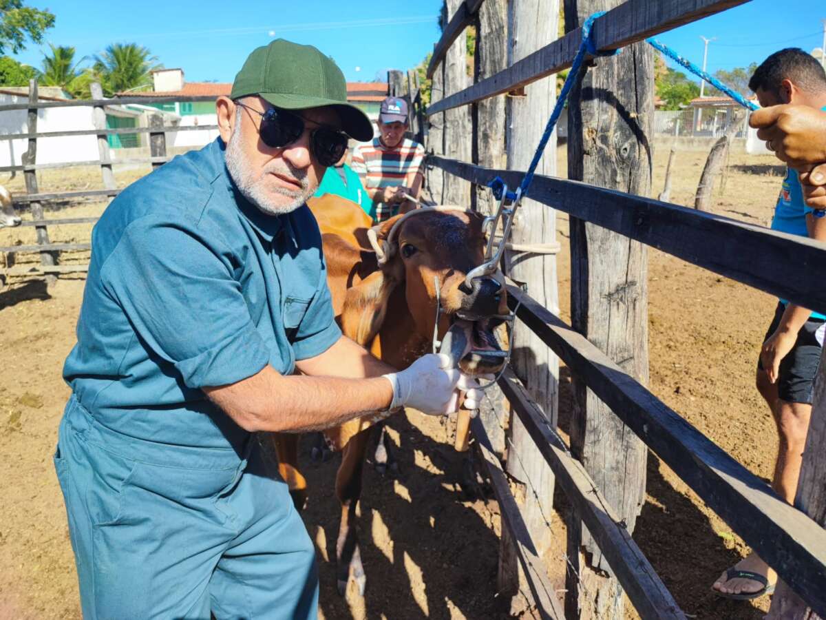 Inquérito confirma ausência de Febre Aftosa no Ceará