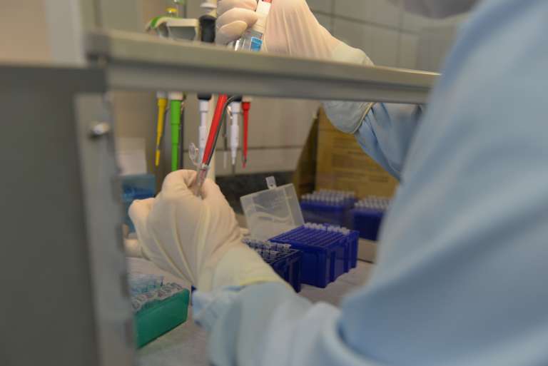 Ceará apresenta avanços na localização de desaparecidas através do DNA