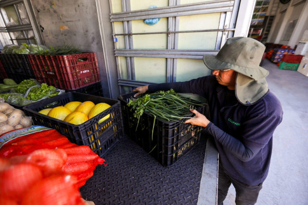 Agricultura familiar já forneceu mais de 600 toneladas de alimento para o Ceará Sem Fome