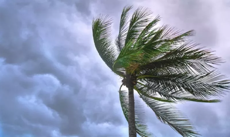 Ceará está sob alerta de vendaval e baixa umidade