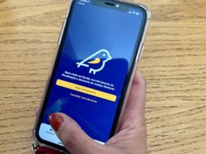 TSE lança atualização do aplicativo Pardal para eleições