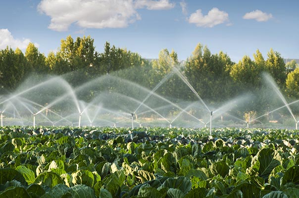 Dois novos polos de irrigação chegarão ao Ceará