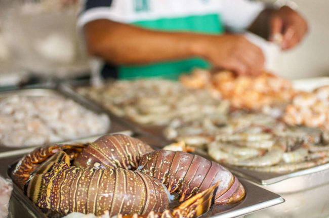 Ministério da Pesca promove campanha para estimular consumo de pescado no Ceará