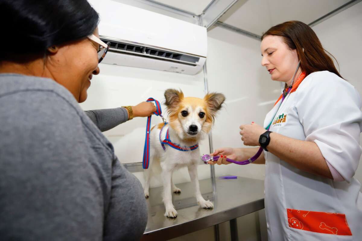 Unidades do Pet Ceará Móvel em Fortaleza alteram endereços 