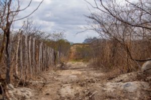 Três municípios do Ceará entram em situação de emergência por estiagem
