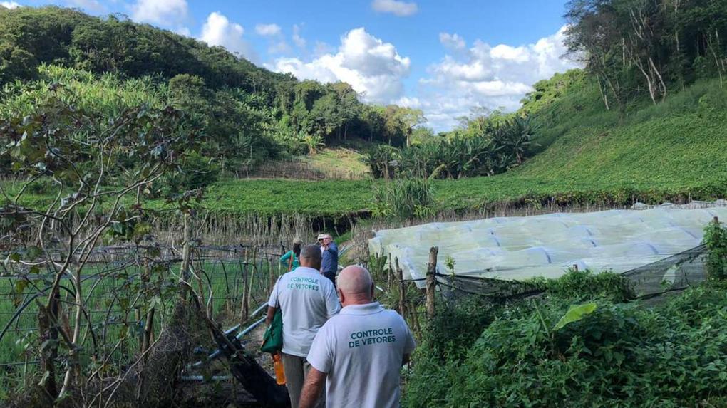 Casos de Febre Oropouche crescem no Ceará e afetam comunidades rurais