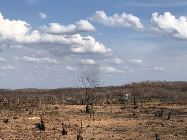 Aumento de temperatura no Ceará chega a 1,8°C