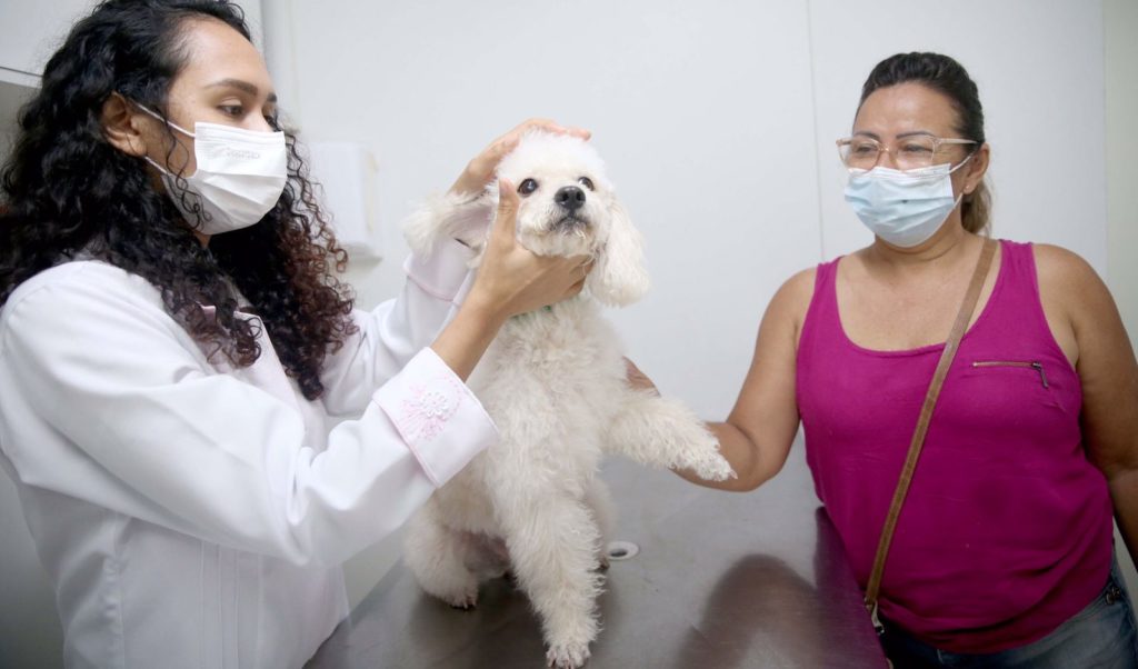 Serviços veterinários do Vetmóvel chegam ao Cuca Mondubim