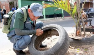 Prefeitura de Fortaleza inicia ações de prevenção às arboviroses