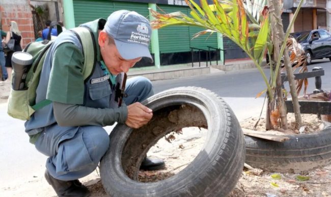 Prefeitura de Fortaleza inicia ações de prevenção às arboviroses