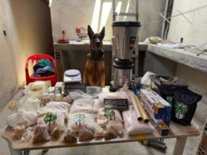 Polícia desarticula laboratório de drogas em Fortaleza