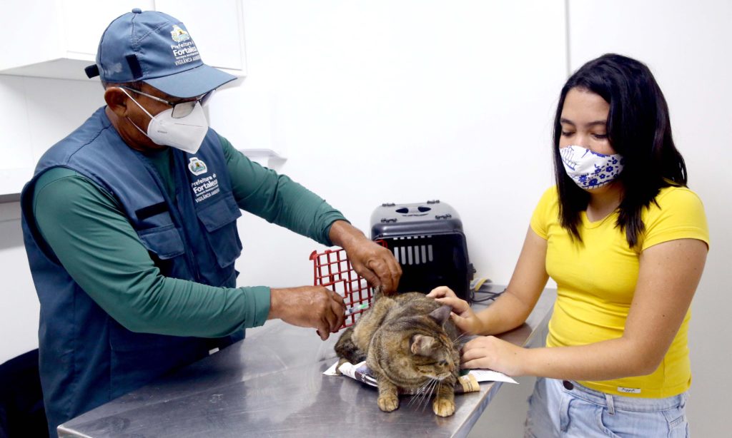 Vetmóvel realiza mais de 140 mil atendimentos em Fortaleza