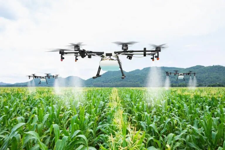 Governo do Ceará autoriza uso de drones para aplicação de agrotóxicos