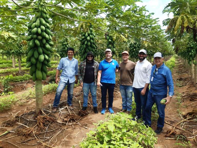 Ceará lidera iniciativas para uso sustentável da água na agricultura