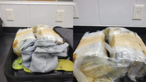 No Aeroporto de Fortaleza, suspeito é preso com 7 kg de maconha