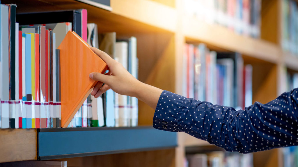 Territórios da Leitura promove formação de educadores
