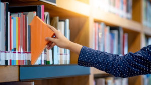 Territórios da Leitura promove formação de educadores