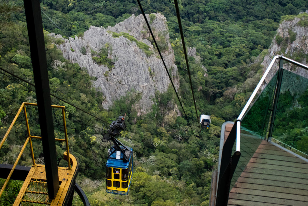 Cocó se destaca como o parque estadual mais visitado do Brasil