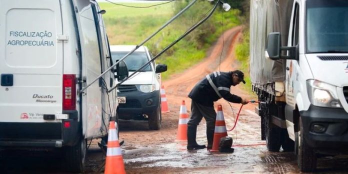 Brasil afasta suspeitas de gripe aviária e Ceará entra no alerta