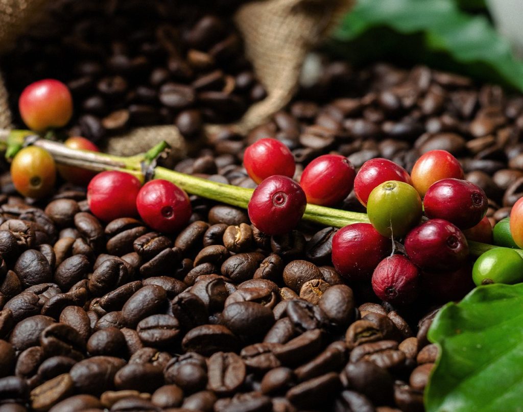 Sebrae fortalece a cafeicultura com evento no Maciço de Baturité