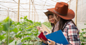 Sebrae oferece bolsas de até R$ 6,5 mil em projeto de inovação rural