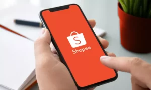 O Sebrae e Shopee fazem parceria e lançam plataforma para digitalizar produtos