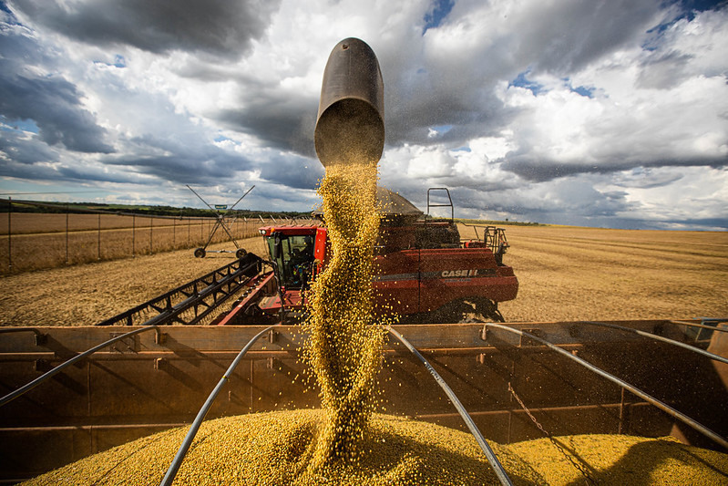 Agropecuária e serviços impulsionam crescimento do PIB no Brasil
